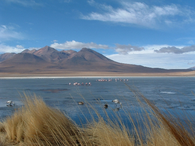 bolivianisches Hochland  .JPG